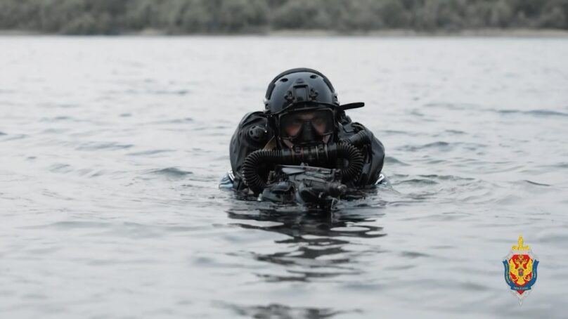 Сегодня в России отмечается День сотрудника органов государственной безопасности