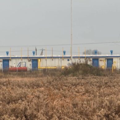 Газовые компании России и Литвы подписали соглашение о транзите голубого топлива в Калининградскую область