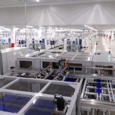 В Калининградской области работодатели принимают активное участие в программе повышения мобильности трудовых ресурсов