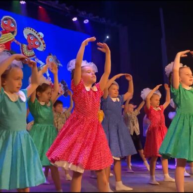 В рамках благотворительного марафона «Свет Рождественской звезды» в Черняховке состоялся концерт местных творческих коллективов