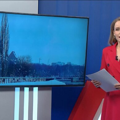 Последний выпуск 2025 года