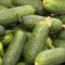 В России начал действовать ГОСТ для фермерской продукции