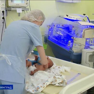 В Калининградской области после боя курантов на свет появилось пятеро детей