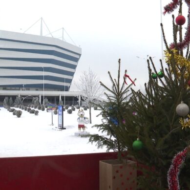 На территории Ростех Арены провели экологическую акцию «Ёлочка 2.0» и высадили новогодние деревья