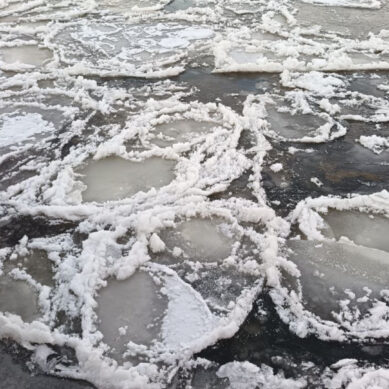 Морозная погода пока что не покидает Калининградскую область