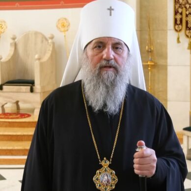 Поздравление митрополита Балтийского и Светлогорского Серафима