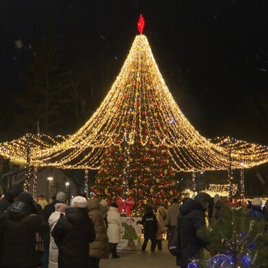 Тысячи гостей посетили регион во время новогодних каникул