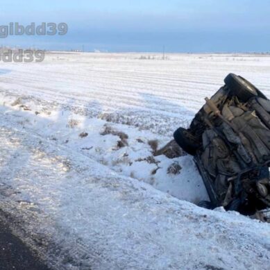 В Гвардейском районе автомобиль съехал в кювет. Водитель погиб