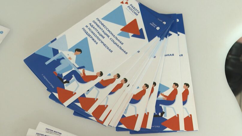 Более 5 тысяч вакансий доступны выпускникам вузов и колледжей в Кадровом центре Калининградской области