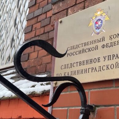 В региональном следственном управлении Следственного комитета России прокомментировали задержание директора нацпарка