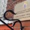 В региональном следственном управлении Следственного комитета России прокомментировали задержание директора нацпарка