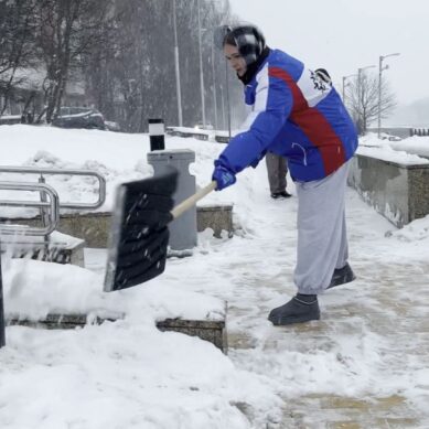 Ребята, которые учатся в калининградских вузах, вышли на уборку