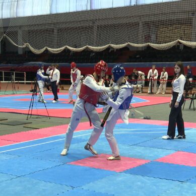 В Калининграде прошло первенство Северо-Запада по тхэквондо