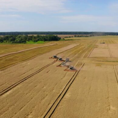 Аграрии региона показали рекордный урожай, 805 тысяч тонн зерна