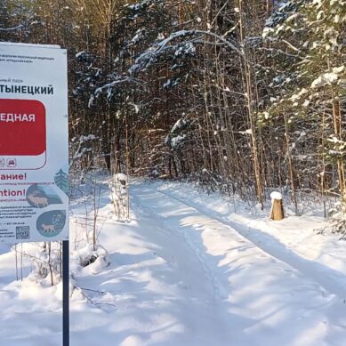Знаки «Заповедная зона» с текстом на русском и английском языках появились на въездах в Красный лес у границы с Польшей