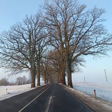 В Нестеровском округе прошел автопробег по местам последних боёв Русской императорской армии на территории Восточной Пруссии зимой 1915 года