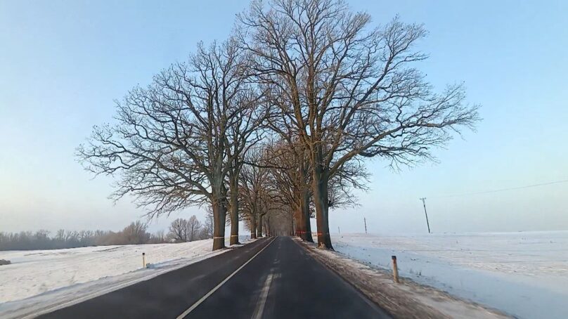 В Нестеровском округе прошел автопробег по местам последних боёв Русской императорской армии на территории Восточной Пруссии зимой 1915 года