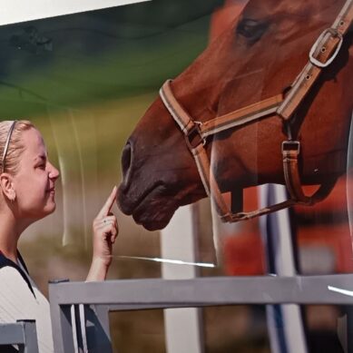 Выставка фотографа Эдуарда Молчанова в Черняховске стала заметным событием в культурной палитре Янтарного края