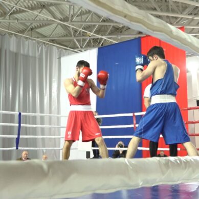 В Калининграде завершились чемпионат и первенство области по боксу