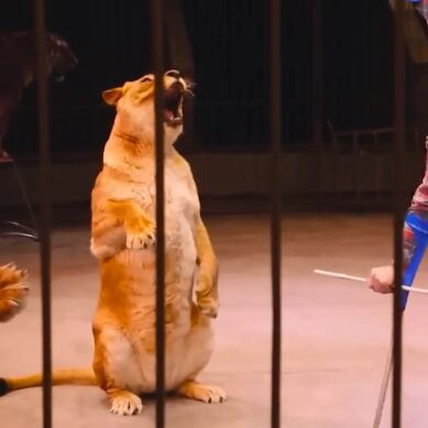 В Калининграде снимают кинофильм о потрясающей человеческой истории