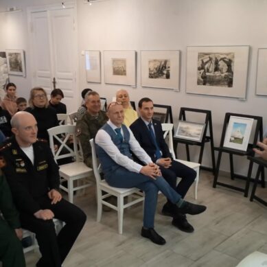 В Черняховской художественной школе прошла встреча с Владимиром Кошкиным