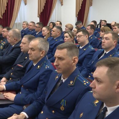 Количество зарегистрированных преступлений в 2025 году в Калининградской области снизилось более чем на 13%