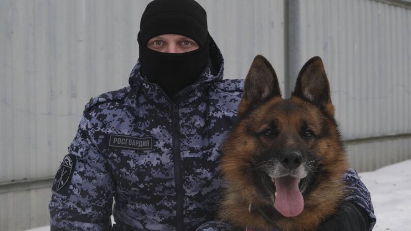 В Калининграде снимали конкурсный видеоролик о работе кинологических подразделений Росгвардии