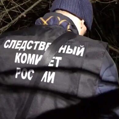 Завершено расследование дела об убийстве Данила Трехлебова