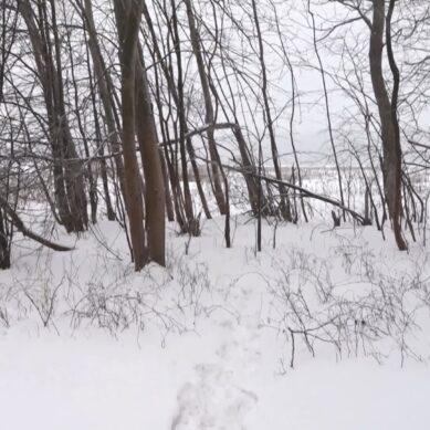 Дачники в Гурьевском округе лишились подъездных путей к участкам