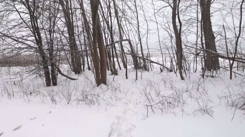 Дачники в Гурьевском округе лишились подъездных путей к участкам