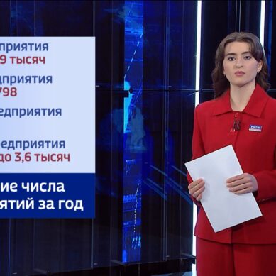 Калининградстат опубликовал свежие данные о состоянии бизнеса в регионе