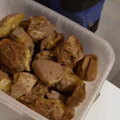 В прошлом году на Янтарном комбинате добыли рекордные 712 тонн балтийского самоцвета