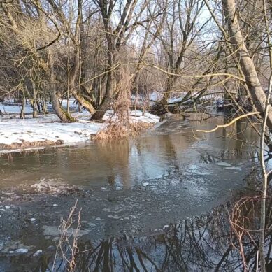 В Янтарном крае просыпаются реки