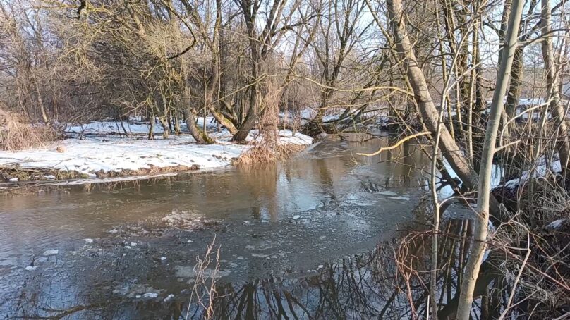 В Янтарном крае просыпаются реки