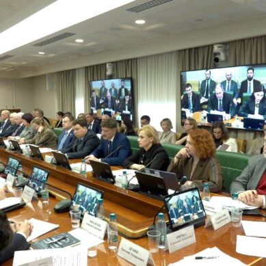 Вопросы международного сотрудничества и транспортной доступности самого западного региона России обсудили в Совете Федерации