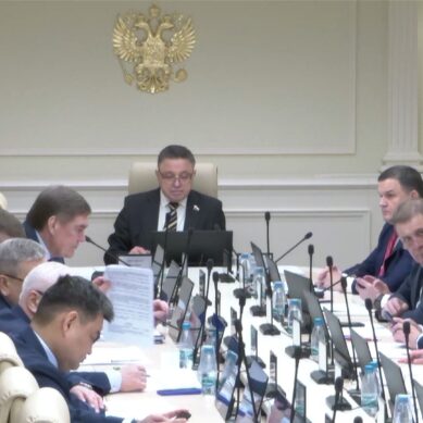 Инициативы в системе контрольно-надзорной деятельности рассмотрели на заседании в Совете Федерации