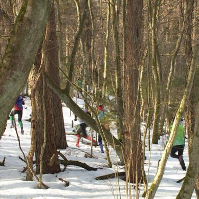 Светлогорск на несколько дней стал центром спортивного ориентирования страны