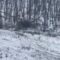 Операторы войск беспилотных систем 11 армейского корпуса, который базируется в Калининградской области, ликвидировали бойцов ВСУ