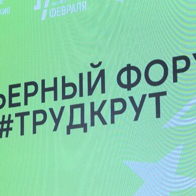 «ТРУД КРУТ» — такой карьерный форум откроют сегодня студенческие отряды региона