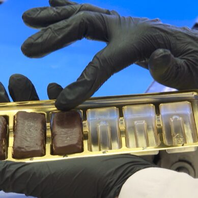 Глава региона Алексей Беспрозванных объявил о запуске масштабной программы поддержки бизнеса