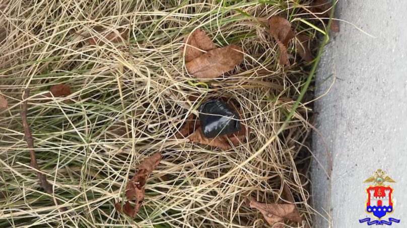 В Калининграде двух иностранных студентов задержали полицейские за попытку сбыта наркотиков