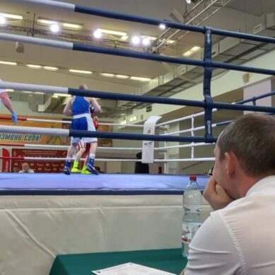 Калининградские росгвардейцы стали победителями ведомственных соревнований СЗФО по боксу