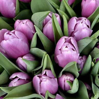 Впереди длинные выходные, тёплая весенняя погода и прекрасный повод порадовать женщин