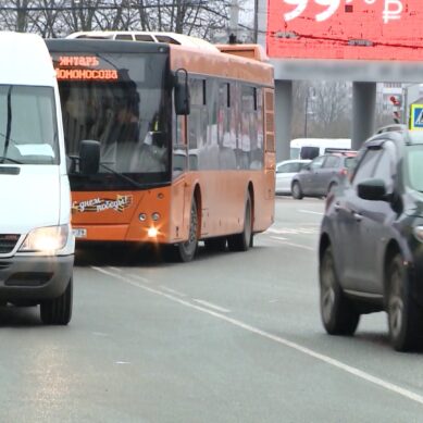 В Калининграде могут появиться муниципальные маршрутки