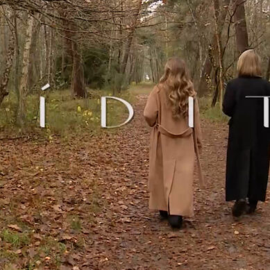 Бренд «МИДИТИ» — сделано в Калининграде!