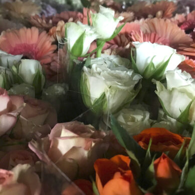 Более 3 млн импортных цветов поступило в Калининградскую область