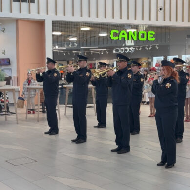 Военный оркестр специального моторизованного полка Росгвардии устроил музыкальный флешмоб для жителей Калининграда