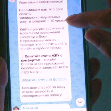 В регионе создано около 6 тысяч домовых чатов в национальном мессенджере, где управляющие компании должны реагировать на жалобы жильцов