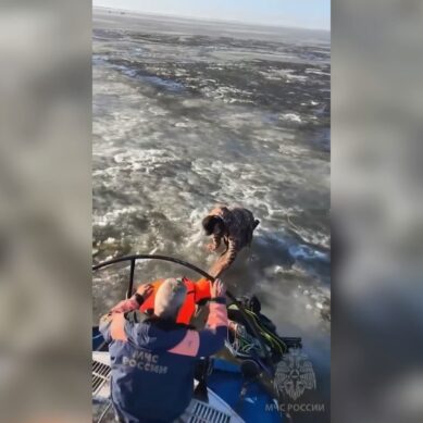 Сотрудники МЧС вытащили из воды двух провалившихся под лед мужчин