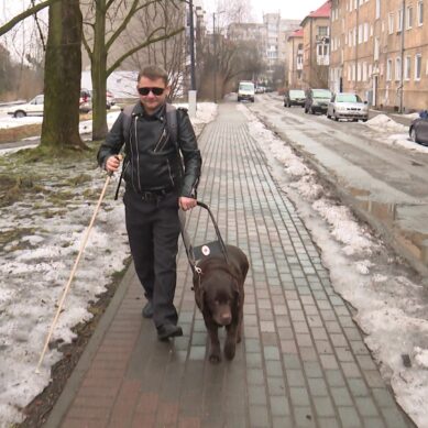 Лапа помощи. Благодаря собакам-поводырям калининградцам с нарушением зрения легче справляться с городскими испытаниями